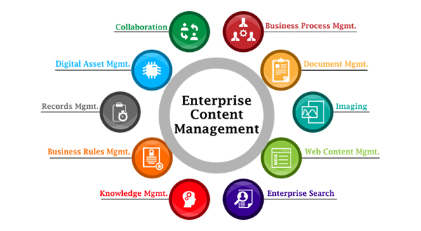 content-management-system