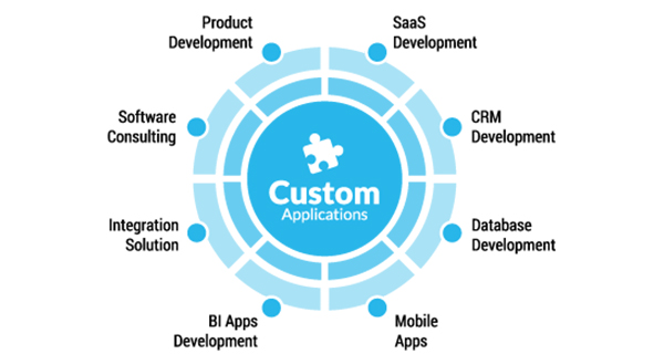 custom-software-development